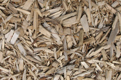 biomass boilers Tregurrian